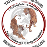 (34) SONMUDO QI GONG MONTPELLIER