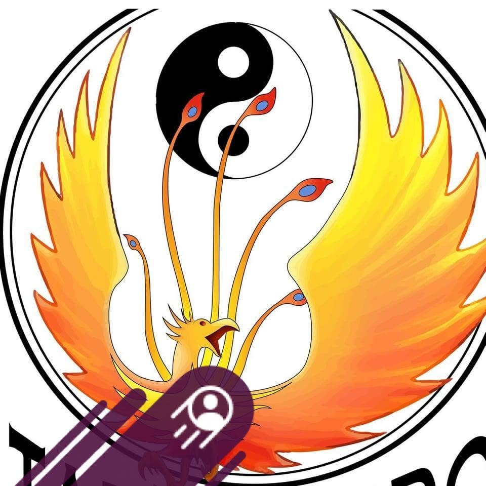 Lire la suite à propos de l’article (63) Phenix Auvergne TKD – Section Seonmudo